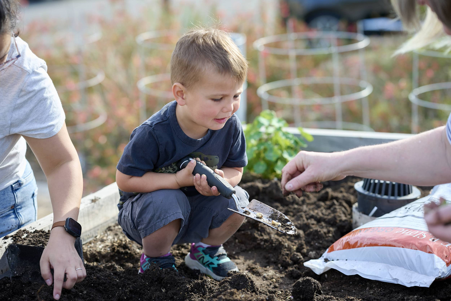 Big Ideas for a Greener Future