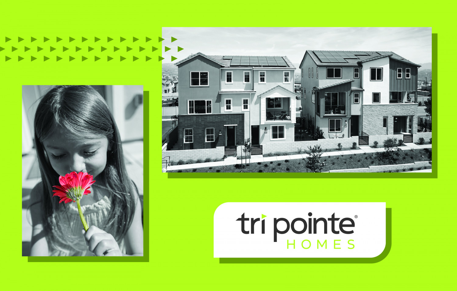 Live Brilliantly at Wren by Tri Pointe July 18