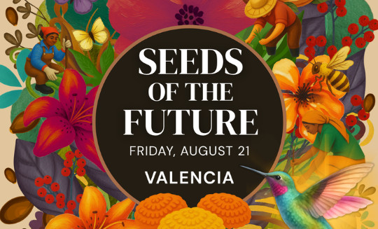 Roots & Rhythm Night Market: Seeds of the Future