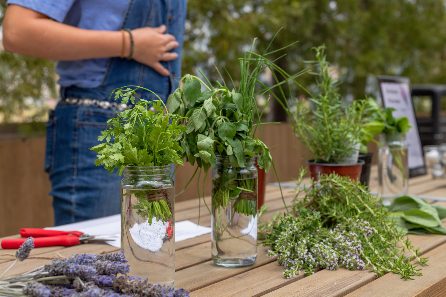 The summer season’s best seasonings